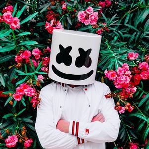 Meet your Posher, Dakota